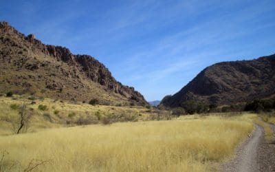 Escape Winter and Head to these Warmer National Forests – National Forest Foundation