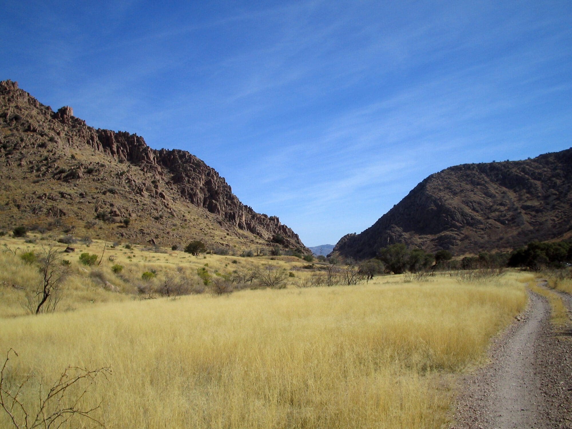 coronado horseshoe canyon