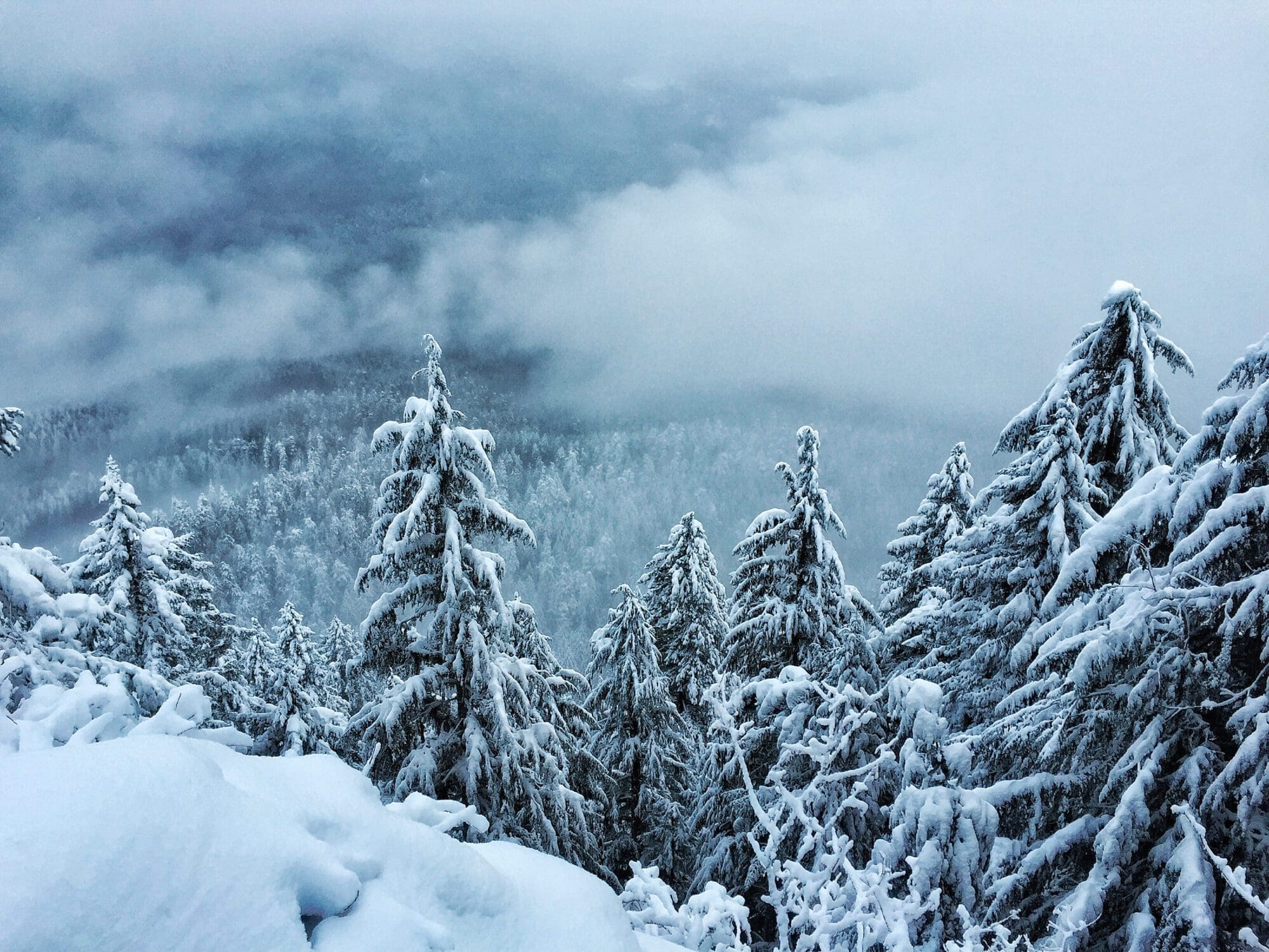 willamette opal creek in winter