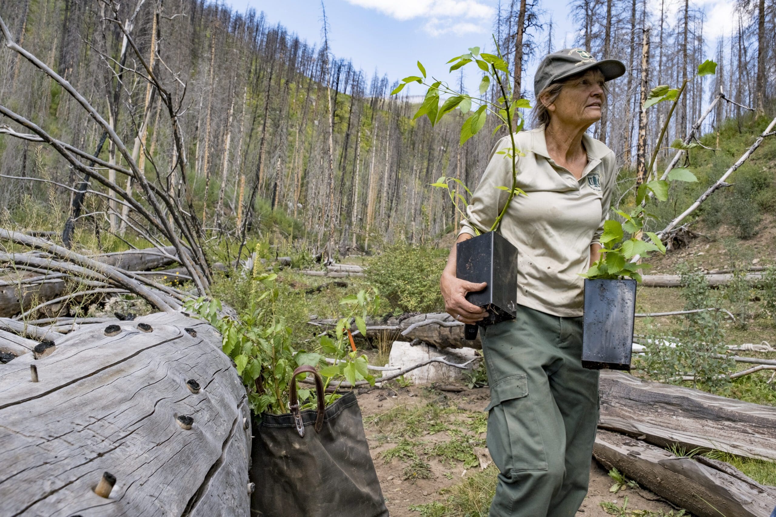 U.S. Forest Service worker 