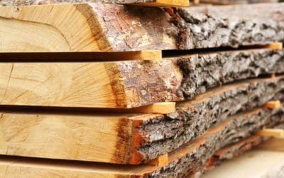 The Cycle of Urban Wood – Arbor Day Blog