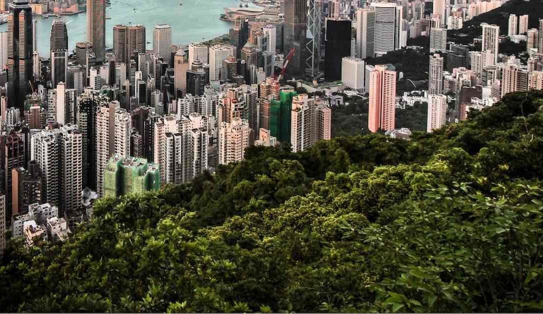 City Trees and Soil Are Sucking More Carbon Out of the Atmosphere Than We Thought | Good News Network