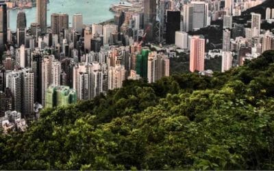 City Trees and Soil Are Sucking More Carbon Out of the Atmosphere Than We Thought | Good News Network