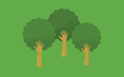 The big idea: can forests teach us to live better? | Science and nature books | The Guardian