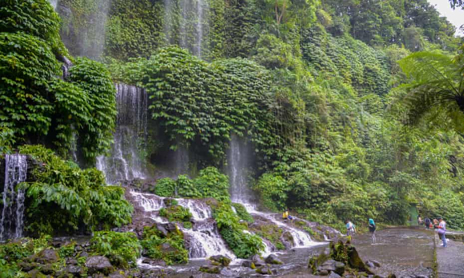 forests, such as this one in Indonesia, do more than just store carbon