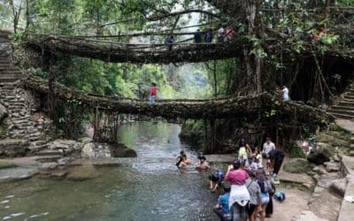 ‘The knowledge of our elders’: India’s living root bridges submitted to Unesco | The Guardian