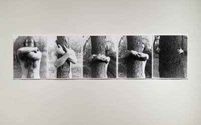 ‘Becoming Trees,’ and learning from them, at Concord Center for the Visual Arts – The Boston Globe