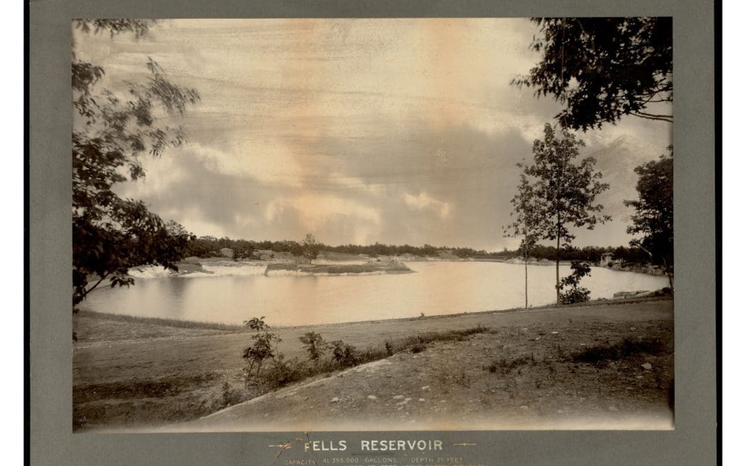 A century before the first Earth Day, there was the Forest Festival in the Middlesex Fells – The Boston Globe