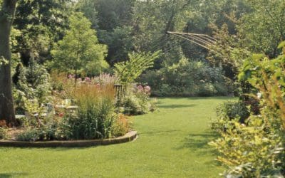 How to Aerate Your Lawn | Better Homes & Gardens