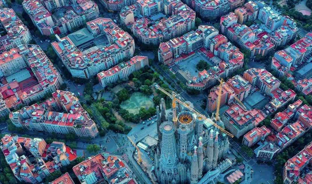 Study suggests tree-filled spaces are more favorable to child development than paved or grassy surfaces | ScienceDaily