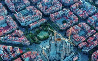 Study suggests tree-filled spaces are more favorable to child development than paved or grassy surfaces | ScienceDaily