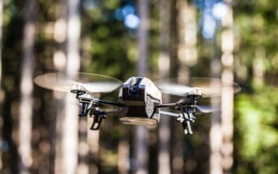 Drones help solve tropical tree mortality mysteries — ScienceDaily