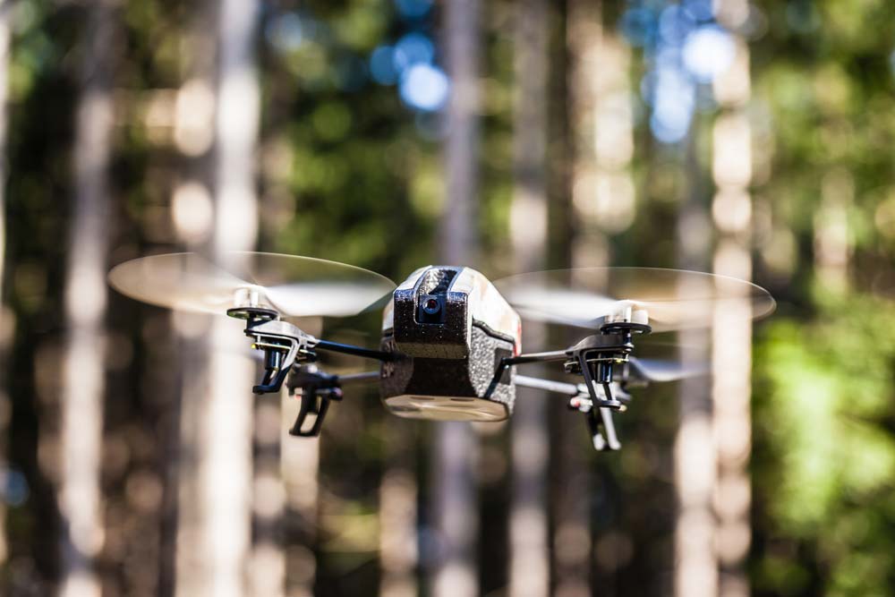 drone in forest