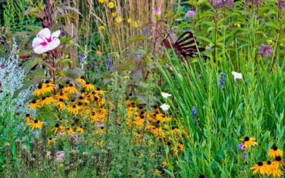 10 Landscaping Tips for an Easy-Care Yard | Better Homes & Gardens