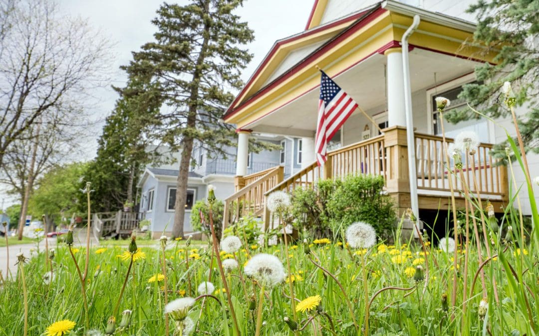 What Is No Mow May | Better Homes & Gardens