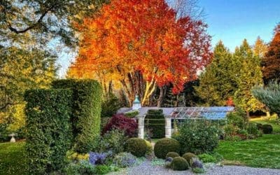 How to Do a More Conscious Fall Cleanup – The New York Times