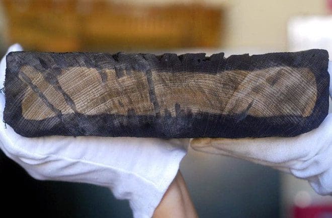 Tree rings in a cross section of an oak hull plank from the ship Batavia, which sank in 1629, hold clues to the 17th-century timber trade in Europe.