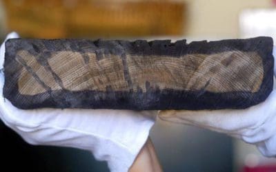 We Studied the Tree Rings of the Batavia Shipwreck Timbers – They Told Us Much About Global Seafaring History | Discover Magazine