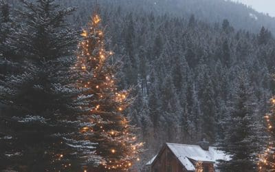 A Colorado Landscape: Evergreen Enchantment | Turf Magazine