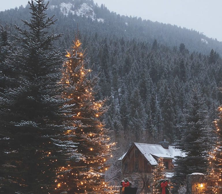 A Colorado Landscape: Evergreen Enchantment | Turf Magazine