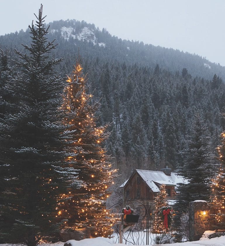 colorado cabin and beautiful trees