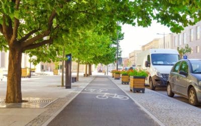 How Urban Trees Save Lives | Planetizen News