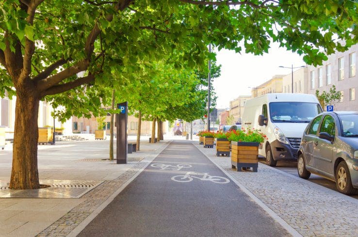 urban trees