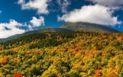 Six “Off-the-Beaten-Path” Hiking Trails in the White Mountain National Forest – National Forest Foundation