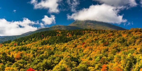 mountain scene