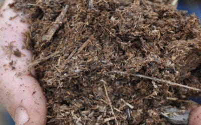 How to mulch: You can use it around trees, plants without killing them | USA Today