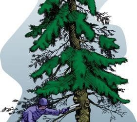 Pruning Trees | Trees are Good