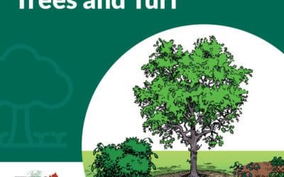 Tree Health | Trees are Good