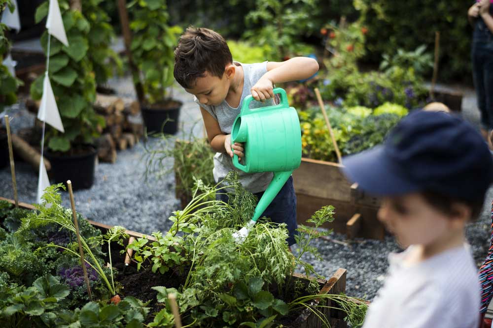 children watering the garden