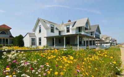 Meadowscaping Is a Trendy Lawn Alternative—Here’s How to Try It in Your Yard | Better Homes & Gardens