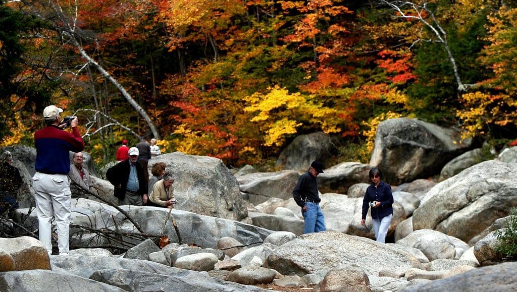 fall foliage seekers