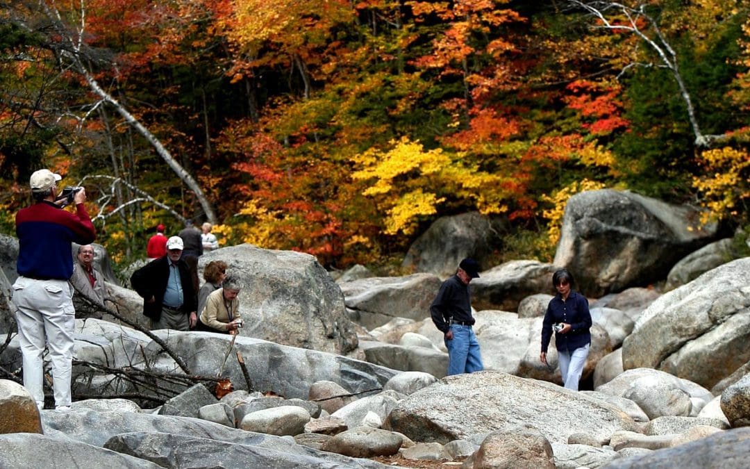 When will peak fall colors arrive? Map fall foliage forecast across US | USA Today