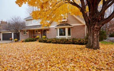 Leave The Leaves? Yes And No. Here’s Another Approach. | Turf Magazine