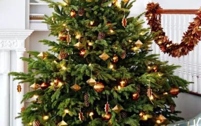 46 Creative Christmas Tree Themes to Show Off Your Personality | Better Homes & Gardens