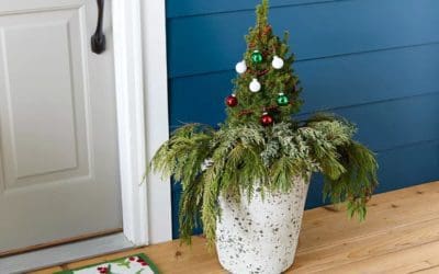 Make These Winter Container Gardens to Add Holiday Cheer to Your Porch | Better Homes & Gardens