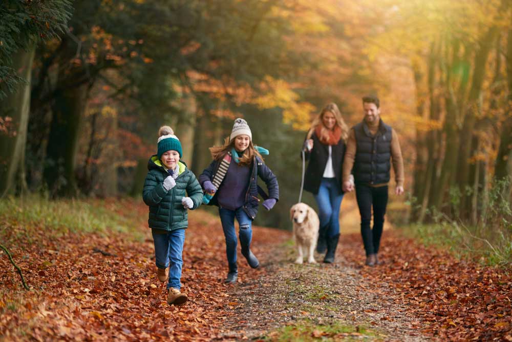 family and dog walking outdoors