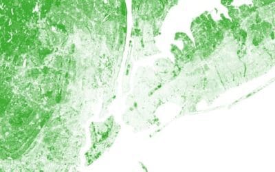 New York will plant thousands of trees using new tech to maximize foliage impact | The Guardian