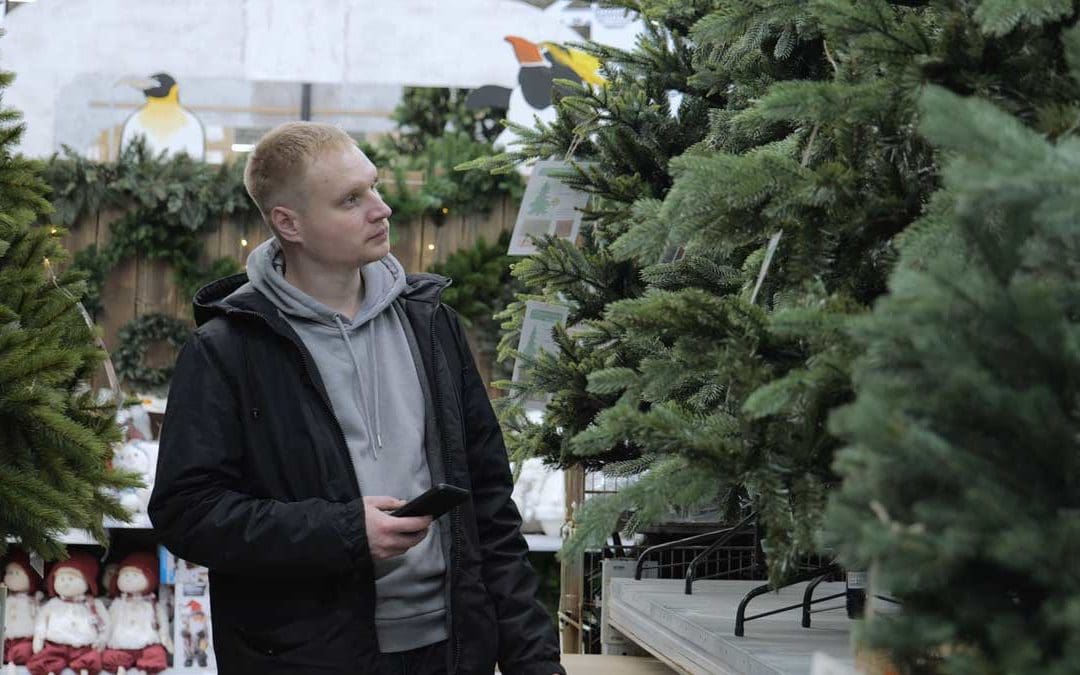 Real Or Artificial? A Forestry Scientist Explains How To Choose The Most Sustainable Christmas Tree, No Matter What It’s Made Of | Discover Magazine