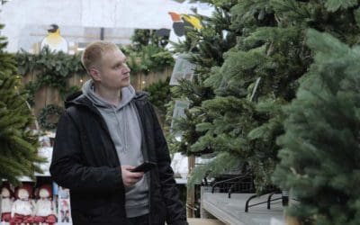 Real Or Artificial? A Forestry Scientist Explains How To Choose The Most Sustainable Christmas Tree, No Matter What It’s Made Of | Discover Magazine