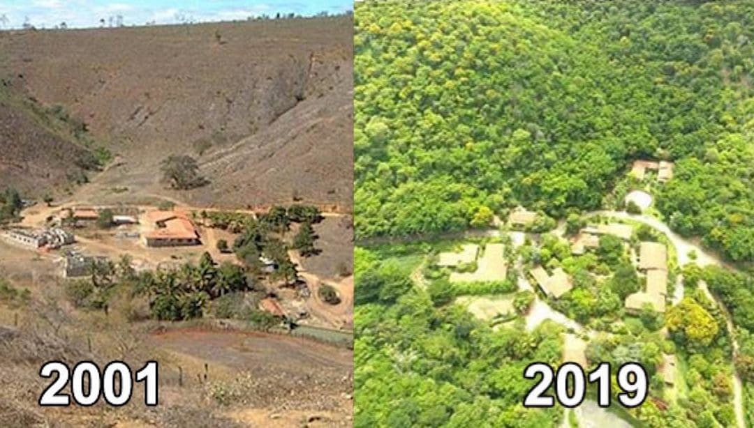 Couple Plants 2 Million Trees in 20 Years to Turn Destroyed Forest Back Into a Wildlife Haven | Good News Network