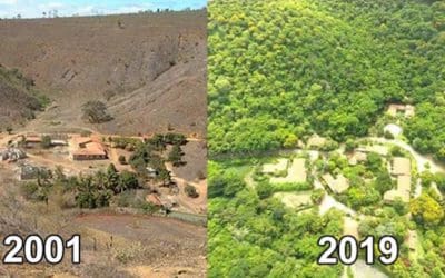 Couple Plants 2 Million Trees in 20 Years to Turn Destroyed Forest Back Into a Wildlife Haven | Good News Network