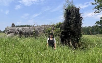 Preserving Plant Records – The Trustees of Reservations