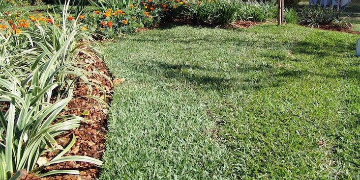 Spring Lawn Care Refresher – Turf Magazine