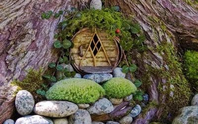 12 Fabulous Fairy Gardens That Don’t Need Figurines | Better Homes & Gardens
