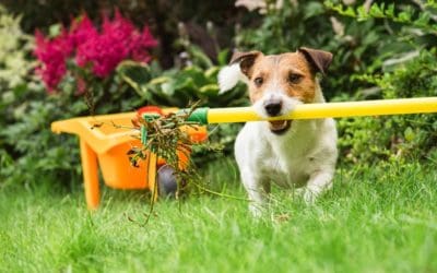 Why You Shouldn’t Start Yard Cleanup Too Early This Spring | Better Homes & Gardens
