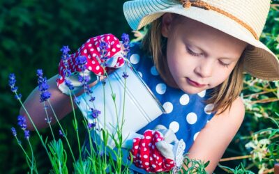 3 fun outdoor projects with kids | Love Your Landscape